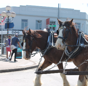 AUCKLAND HERITAGE FESTIVAL